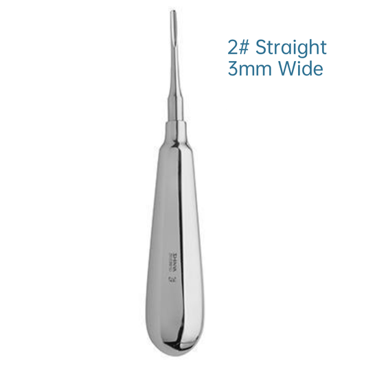 Stainless Steel Tines (Hollow, Octagonal Shank)