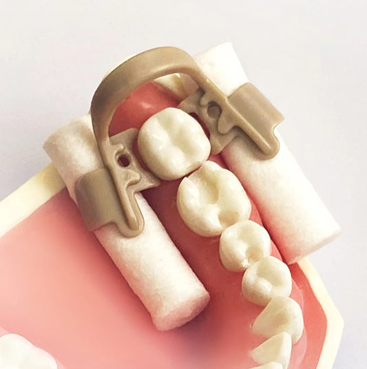 Dentpark 4Pcs Dental Moisture-barrier Cotton Roll Holder Clip Autoclavable Molar Premolar Dentist Clinic Orthodontic Tools