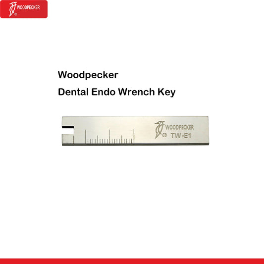 Woodpecker Dental Ultrasonic Scaler Handpiece Dentistry Ultrasound Scaling Handle HW-5L DTE HD-7L Dental Products TW-E1