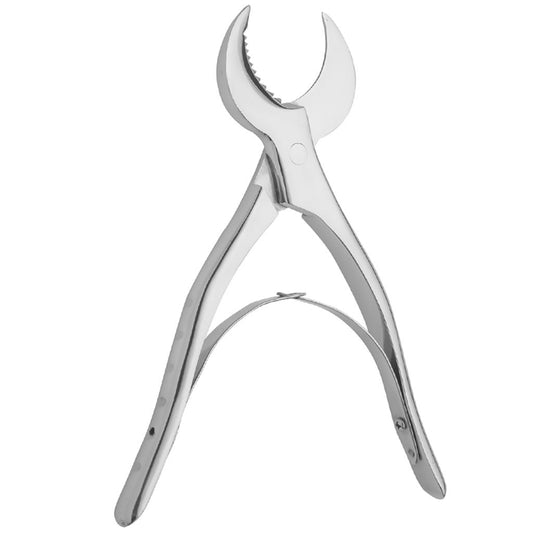 Artisan Plaster Shears