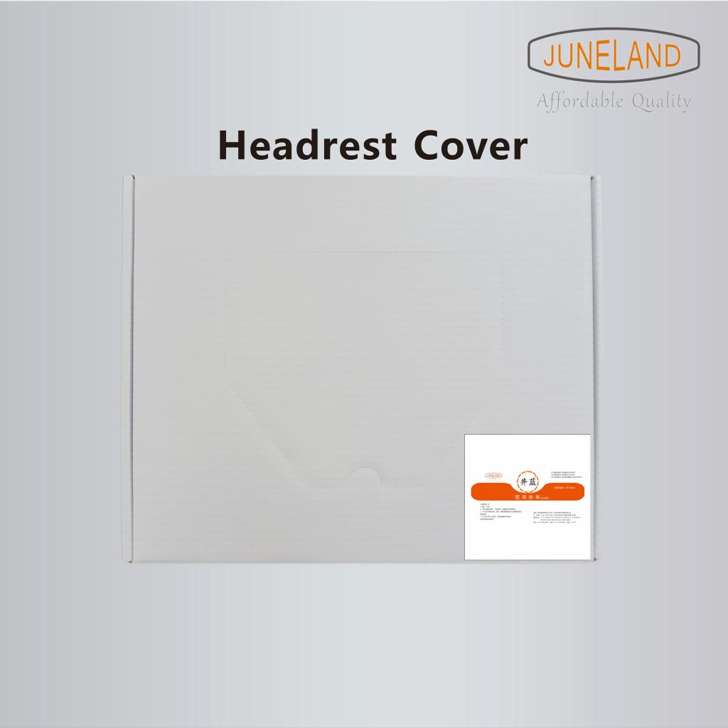 Headrest Cover 250pcs/box