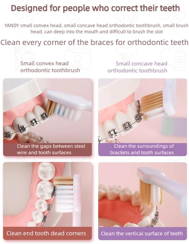 YANDY Orthodontic Toothbrush,Self-contained Push-Pull interdental Brush at The end,Wall Mounted Storage Design,Soft Bristles,2 Count