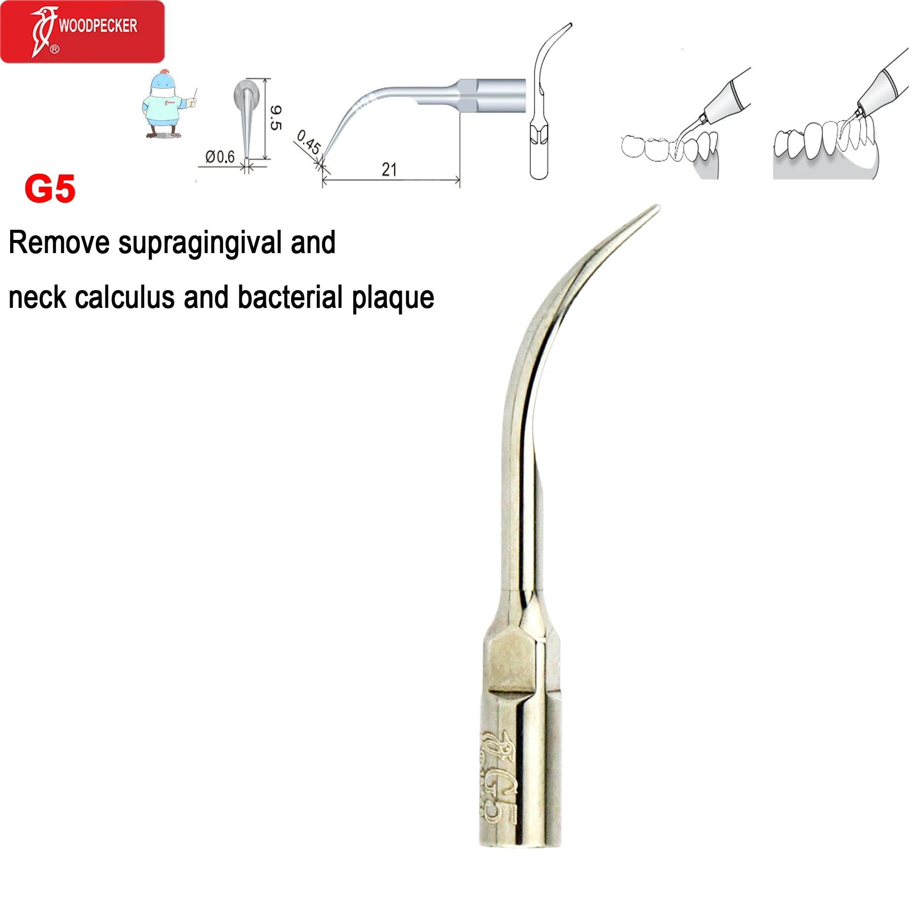 Dental Ultrasonic Scaler Tips Dentistry Instrument Scaling Tip Medical Accessories Fit EMS NSK SATELEC Scaler Handpiece G5
