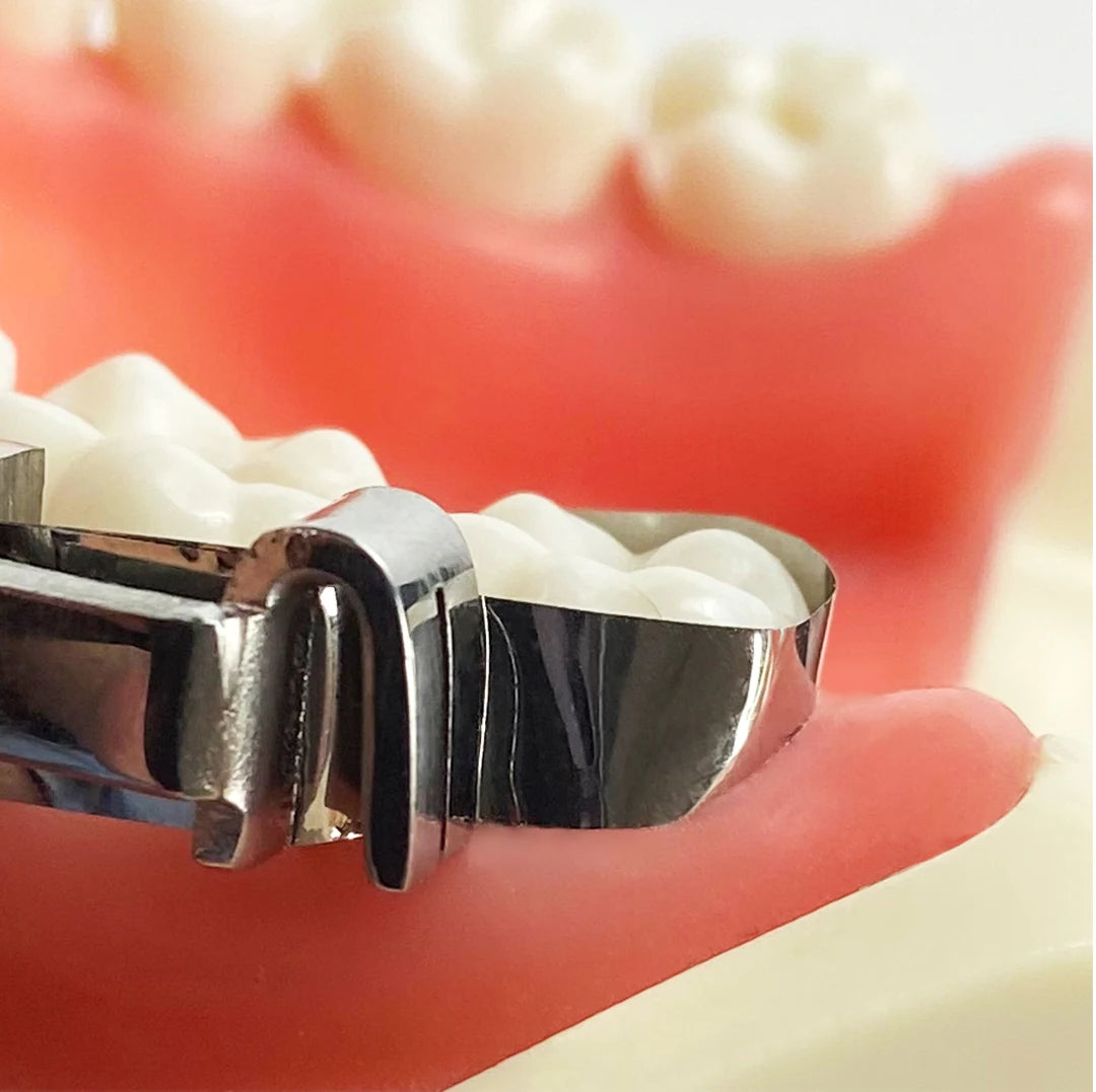 Dentpark Dental Strip Roll Matrix Bands Stainless Steel or Clear Polyester Film Sectional Contoured Matrices Dentistry Tools