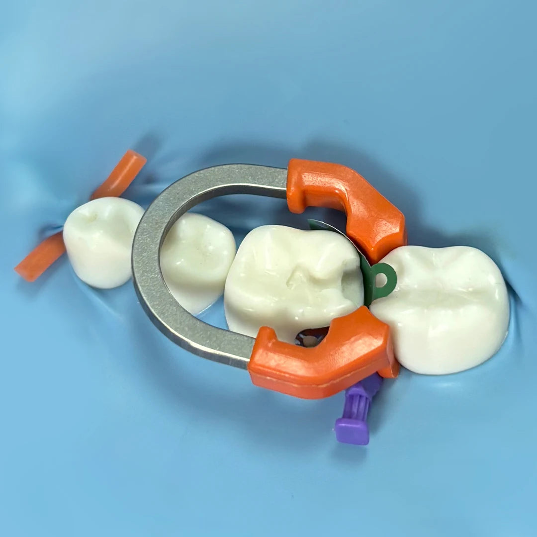 Dentpark Dental Sectional Matrix System D3 - 50pcs Matrix Bands &1 NITI Clamp Ring R7 for class-Ⅱ Composite Resin restoration