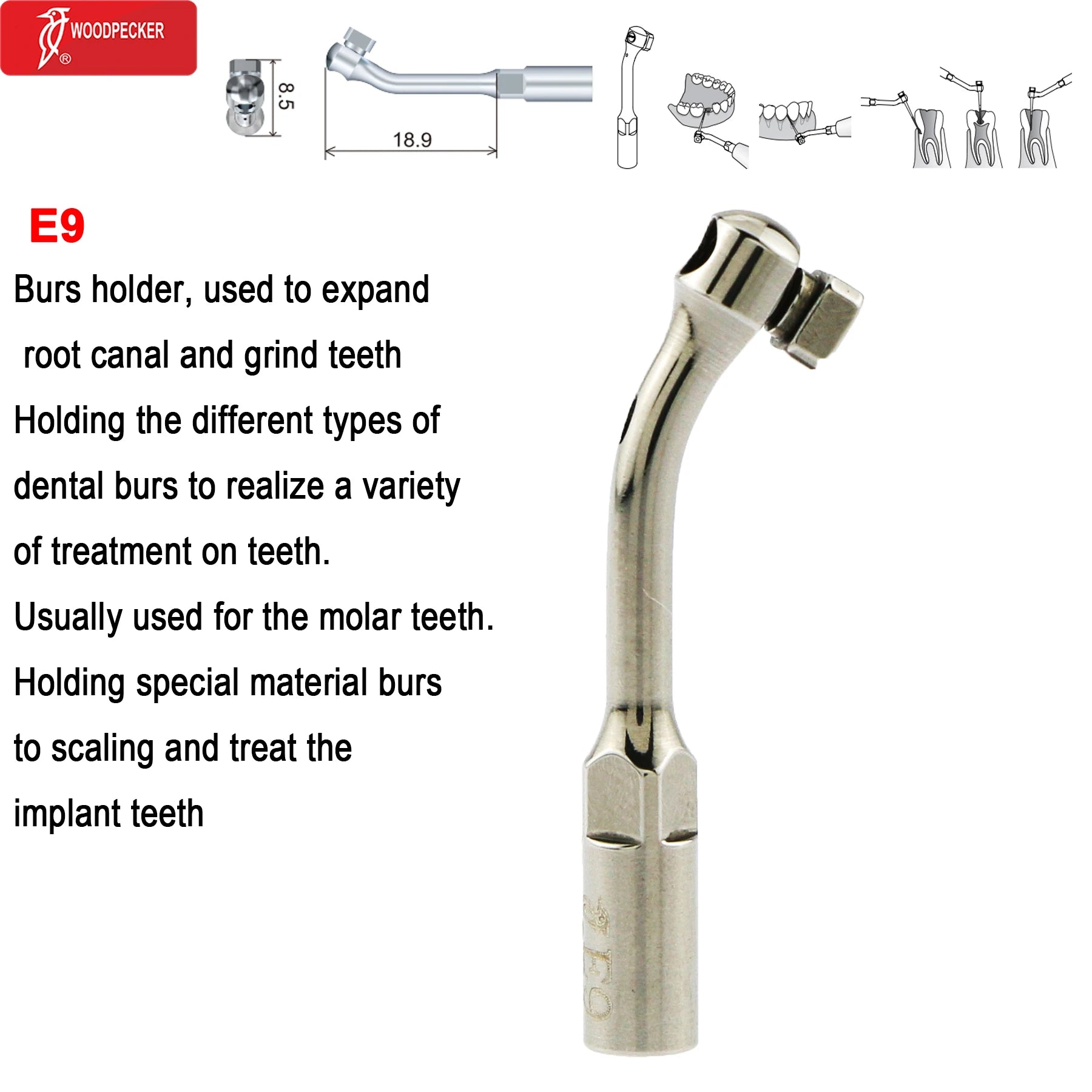 Original Woodpecker Dental Ultrasonic Scaler Tips Dentistry Ultrasound Tip P E G SB For Teeth Cleaning Dental Products Fit EMS E9