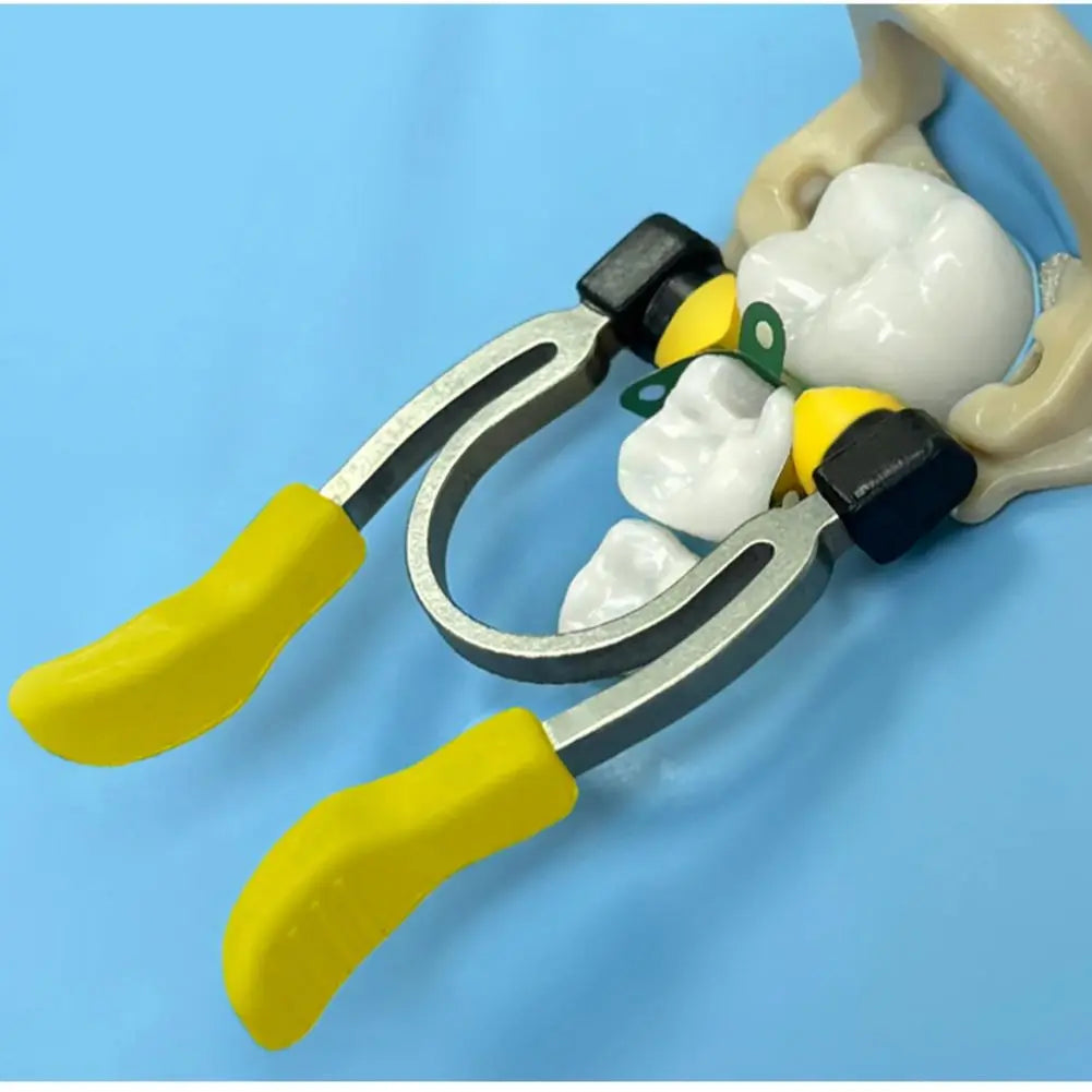 Dentpark Dental Handheld retainer NiTi Clamp Rings sectional matrix system class-Ⅱ restoration for adult or pediatric teeth