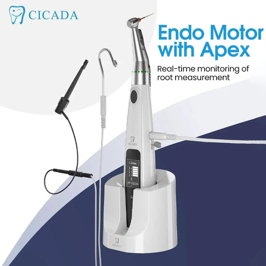 Endo Motor with Apex Locator