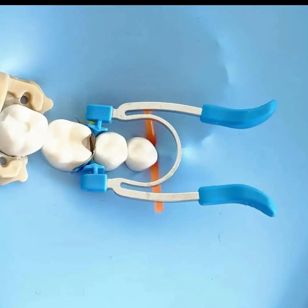 Dentpark Dental Sectional Matrix System KIT G2 30pcs Bands & 1 Handheld retainer Clamp Ring R4 Clip Quick Class Ⅱ Restoration