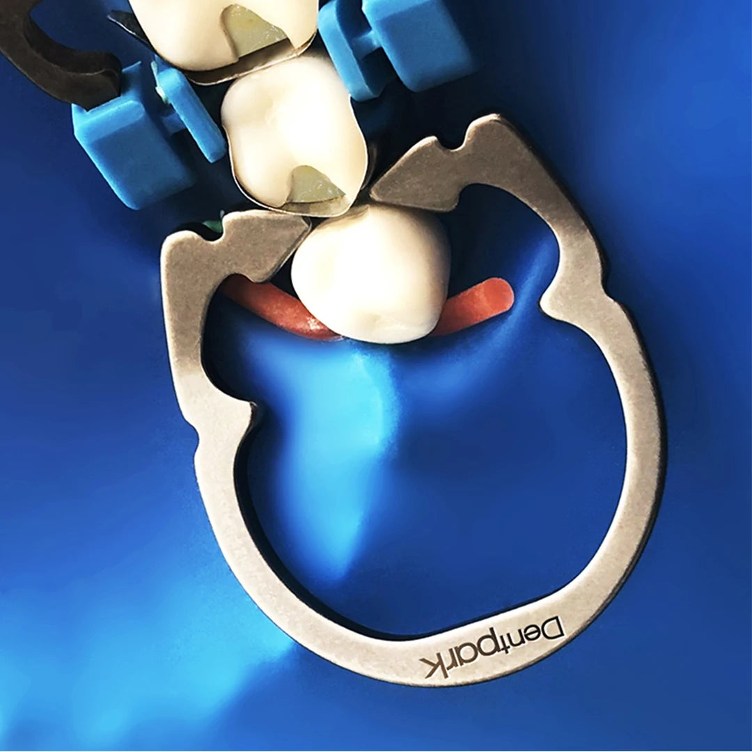 Dentpark | 1 PC Dental Nickel Titanium Clamp Ring For separating and retaining Sectional Contoured Matrix System Dentistry Tool
