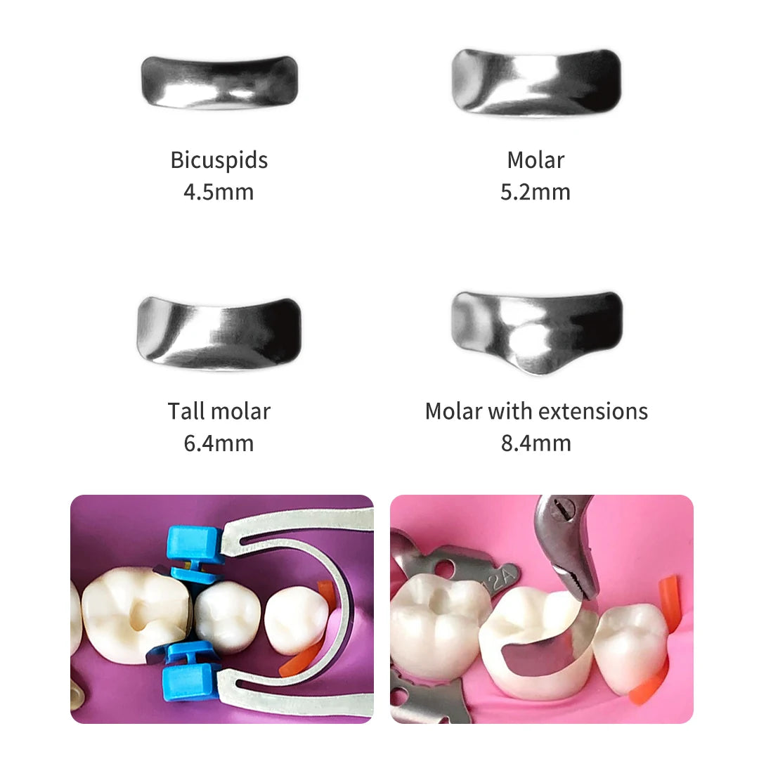Dentpark Dental Sectional Matrix System KIT G2 30pcs Bands & 1 Handheld retainer Clamp Ring R4 Clip Quick Class Ⅱ Restoration