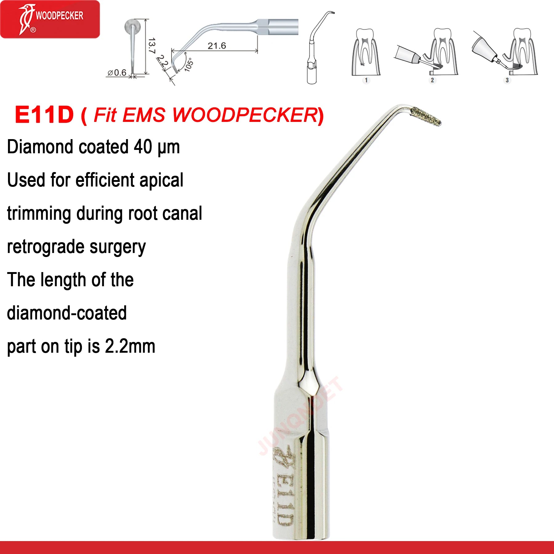 Woodpecker DTE Dental Ultrasonic Scaler Tips Dentistry Ultrasound Scaling Tip Fit EMS SATELEC NSK Dental Products E11D