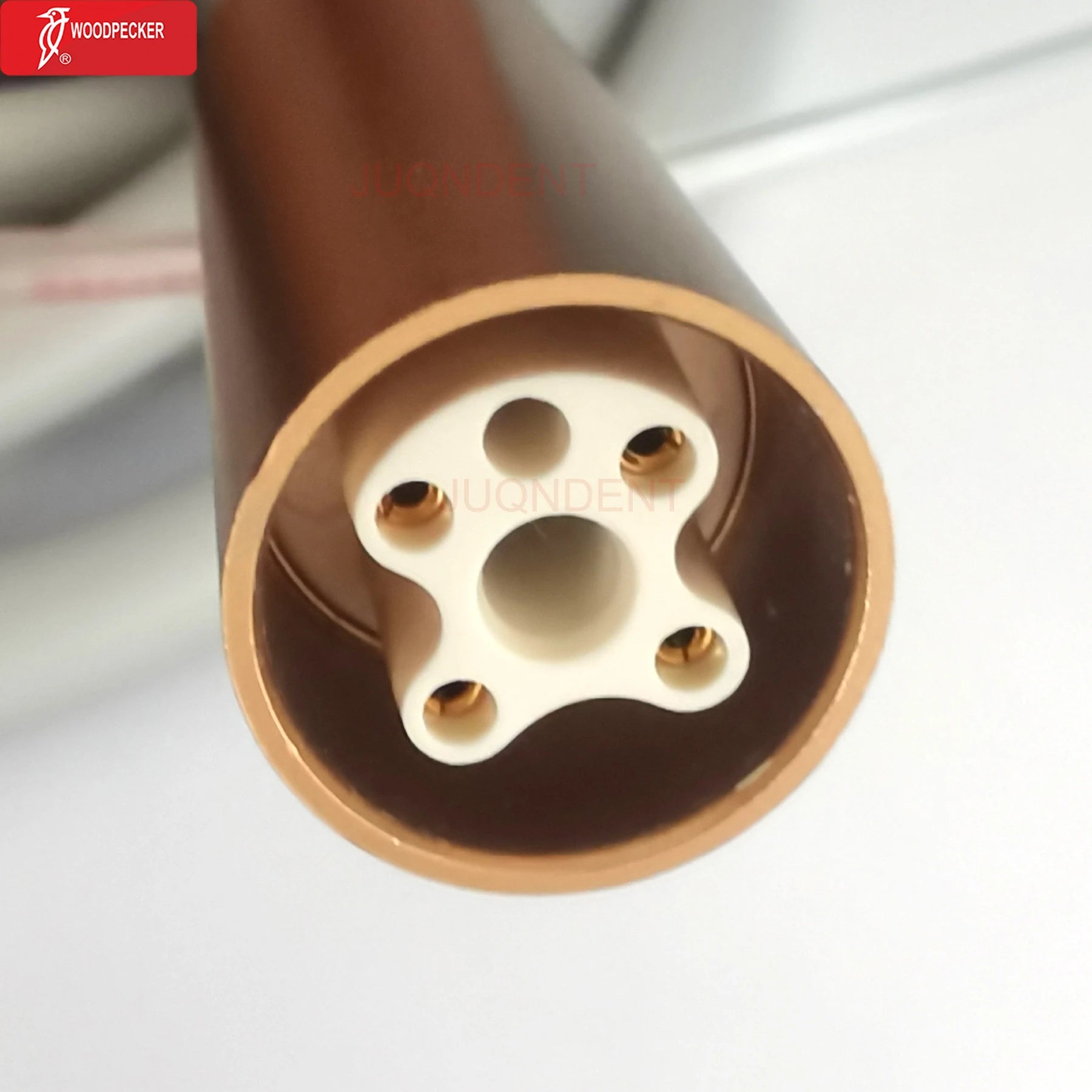 Original Woodpecker Dental Piezo Ultrasonic Scaler Periodontal Treatment System PT5 Accessories Water Tank Cable Tube