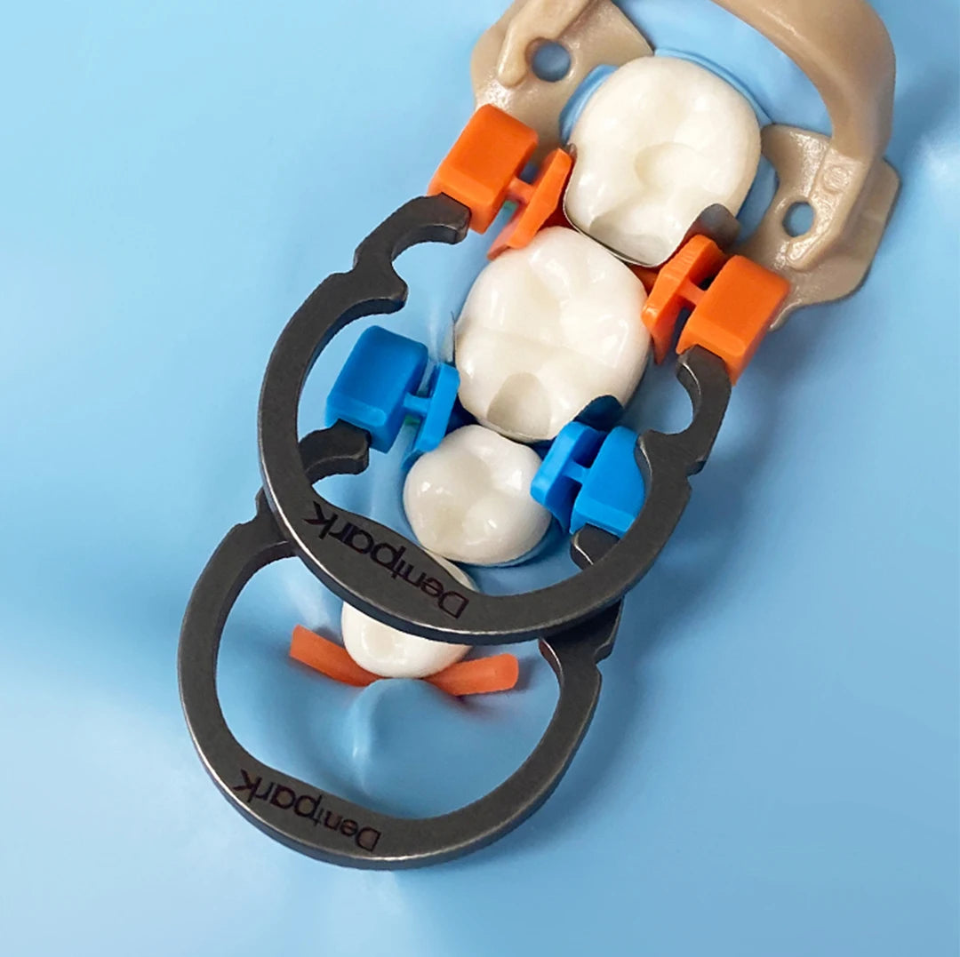 Dentpark | 1 PC Dental Nickel Titanium Clamp Ring For separating and retaining Sectional Contoured Matrix System Dentistry Tool