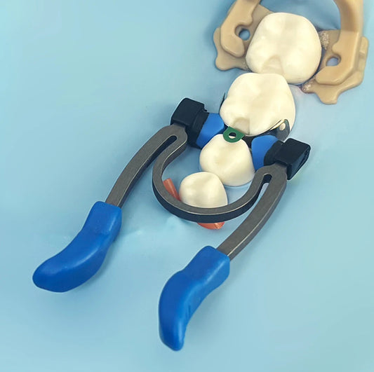 Dentpark Dental Handheld retainer NiTi Clamp Rings sectional matrix system class-Ⅱ restoration for adult or pediatric teeth